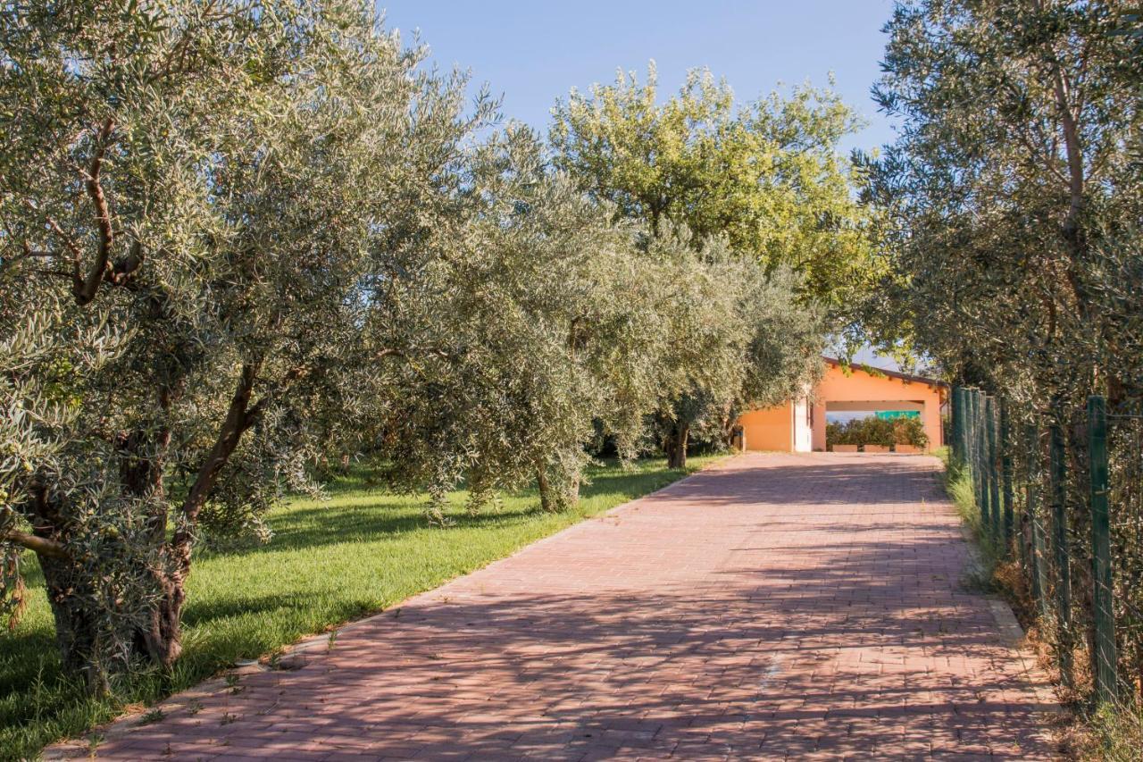 Villa Con Piscina Casale Di Gio Nel Golfo Di Castellammare Partinico Dış mekan fotoğraf